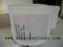 Garlic Puree Bucket10